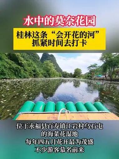 水中的莫奈花园,桂林这条“会开花的河” 抓紧时间去打卡 桂林 焕新桂林show经典 桂林山