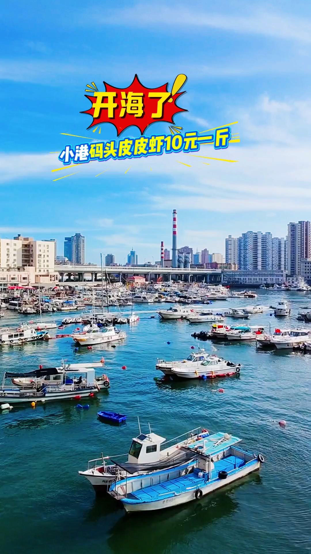 网友没有骗我,青岛小港码头的皮皮虾真的10块钱一斤
