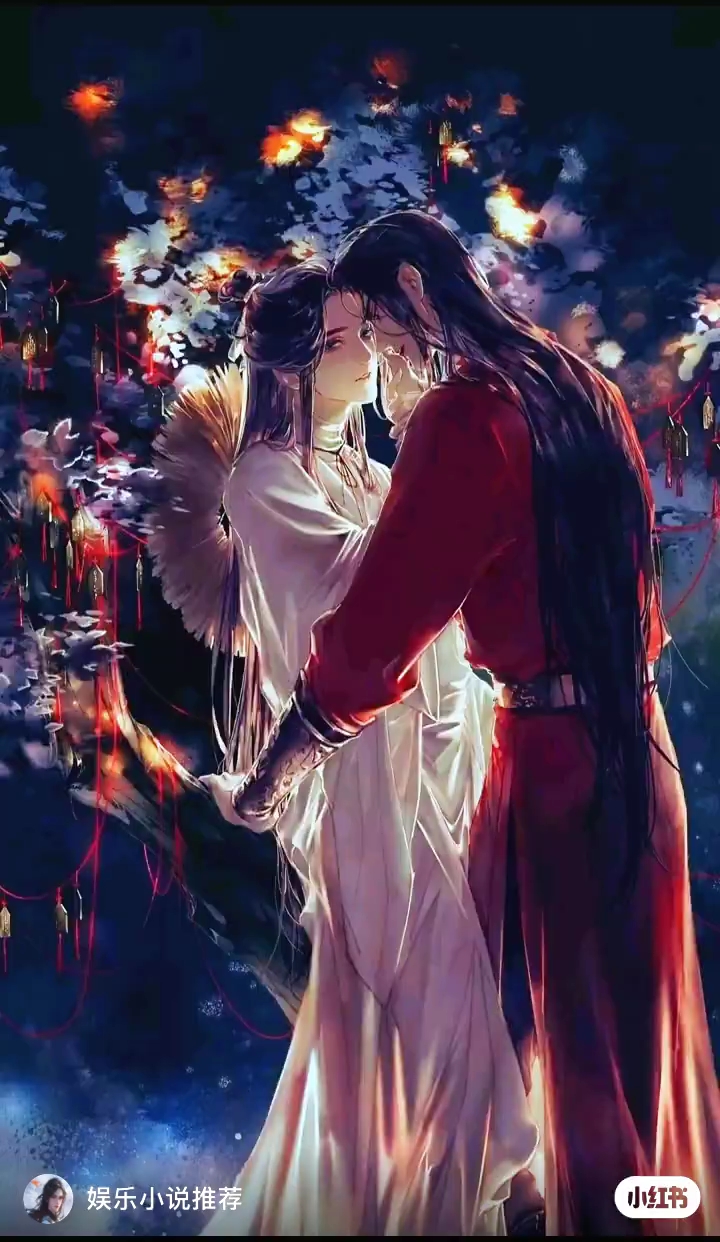 天官赐福 谢怜与花城 小说与动漫资源分享!