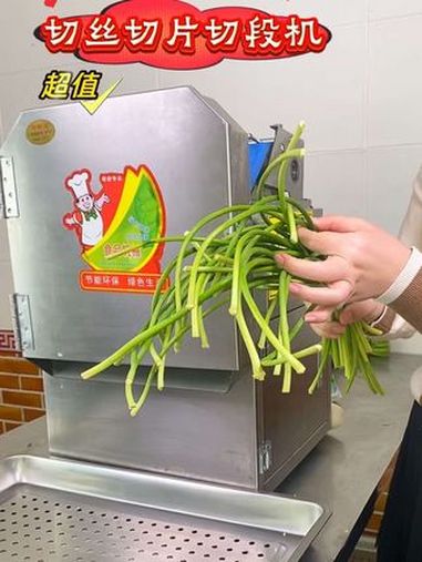 小型多功能切菜机 商用切菜机 切菜机 多功能切菜机 多功能切菜机切丁切片切丝