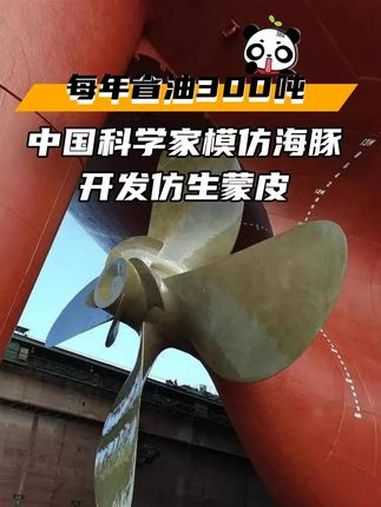 受海豚启发,中国科学院为油轮开发“海豚皮”材料,如同“鲨鱼皮”泳衣一般,减小水中阻力。不过