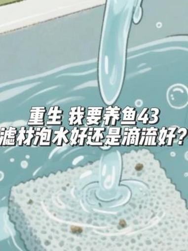 重生 我要养鱼43 滤材泡水好还是滴流好？#干湿分离 #过滤设计