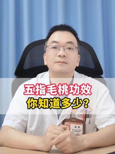 五指毛桃功效你知道多少？#抖出健康知识宝藏 #五指毛桃 #客家话方言