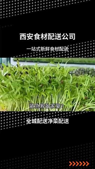 陕西西安面食配送供应高效护航 无公害蔬菜配送定制专享 不想被劣质食材坑？速看！面食配送供应