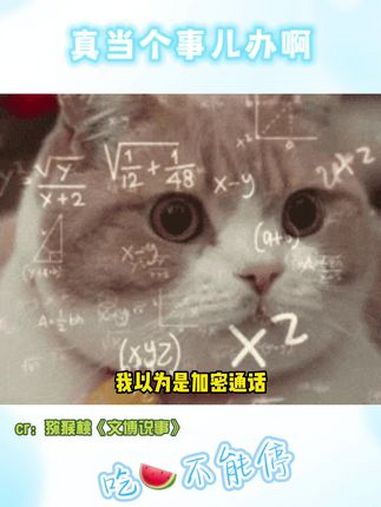 不是哥们儿,真拿当个事儿办啊?娱乐评论大赏 万万没想到 内容过于真实 吃货日常