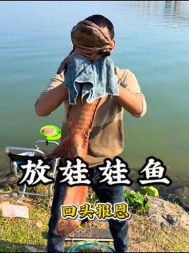 钓到娃娃鱼发出啼哭声，好心男子选择放生！# 神奇动物在抖音# 放生# 万物皆有灵# 感人#