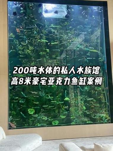 200吨水体的私人水族馆，高8米的豪宅大型亚克力鱼缸案例 大型亚克力鱼缸定制 别墅亚克力鱼