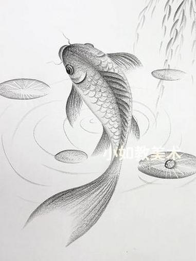鱼 绘画教程 炭笔画 炭笔画鱼 手绘原创 画画过程