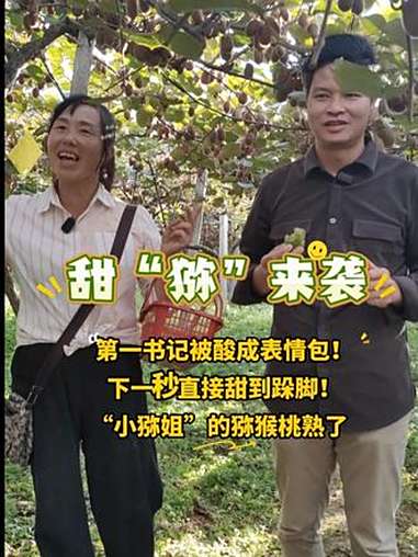 第一书记被酸成表情包!下一秒直接甜到跺脚!“小猕姐”的猕猴桃熟了 亲子游 猕猴桃采摘 大自