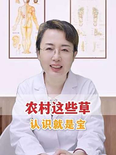 农村这些草,认识就是宝!中医 中医养生 中医文化