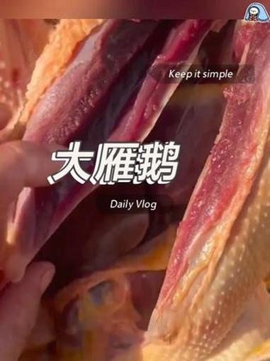 农家散养大雁鹅！整只新鲜现杀现发冷链到家！可炖！可红烧！肉质紧实！好吃划算 大雁鹅 铁锅炖