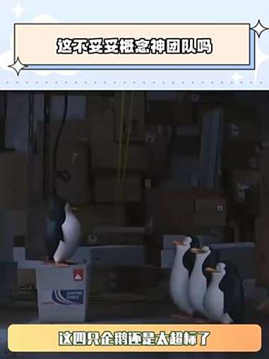 这不妥妥概念神团队吗 马达加斯加 鹅滴神片