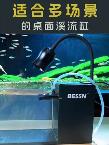 一款适合多场景的溪流缸,赶紧安排上吧!鱼缸 开缸 鱼缸造景 溪流缸 水族用品