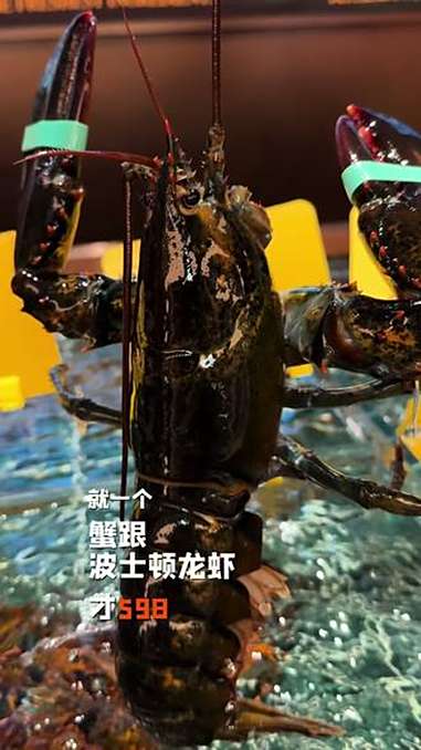 吃到一半把年夜饭定了,看着500的人均,居然只要200 上海本帮菜品鉴日记 本帮菜 上海物