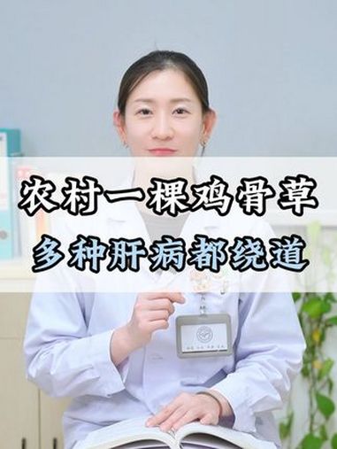 农村有棵鸡骨草,多种肝病都绕道 健康科普 肝病 养肝 鸡骨草 脂肪肝