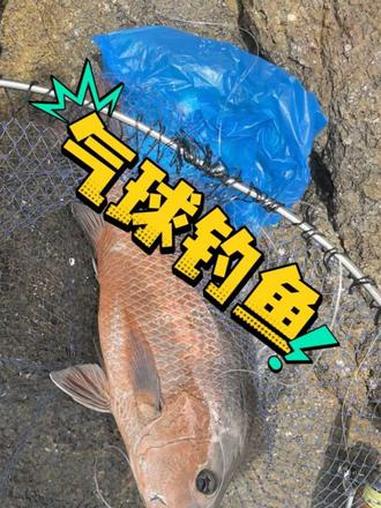 这样钓鱼你见过吗？#真实生活分享计划 #海钓的乐趣 #钓鱼人的日常 #钓鱼人的第一视角