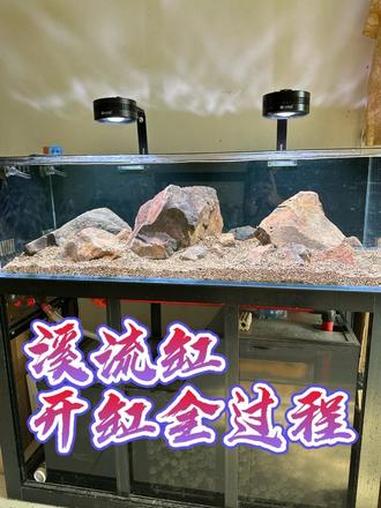 1.2溪流缸开缸造景全过程,新手玩溪流缸一看就会#溪流缸开缸 #溪流缸造景 #溪流缸造景教