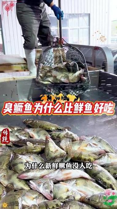 臭了的鱼竟然比新鲜的还好吃,这就是徽菜头牌臭鳜鱼的魅力#臭鳜鱼 #专鳜臭鳜鱼 #源头厂家 