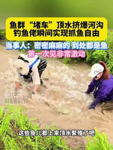 鱼群“堵车”顶水挤爆河沟,钓鱼佬瞬间实现抓鱼自由,当事人:密密麻麻的,到处都是鱼,第一次见