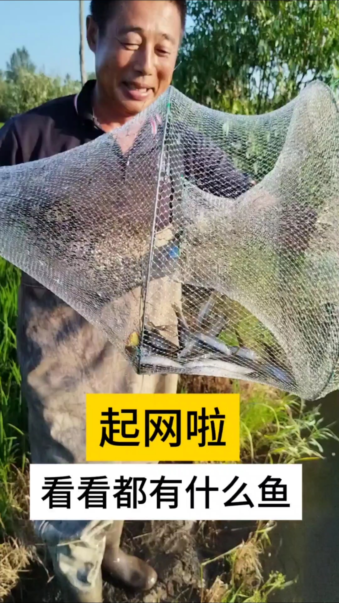 起网啦!看看这是什么鱼