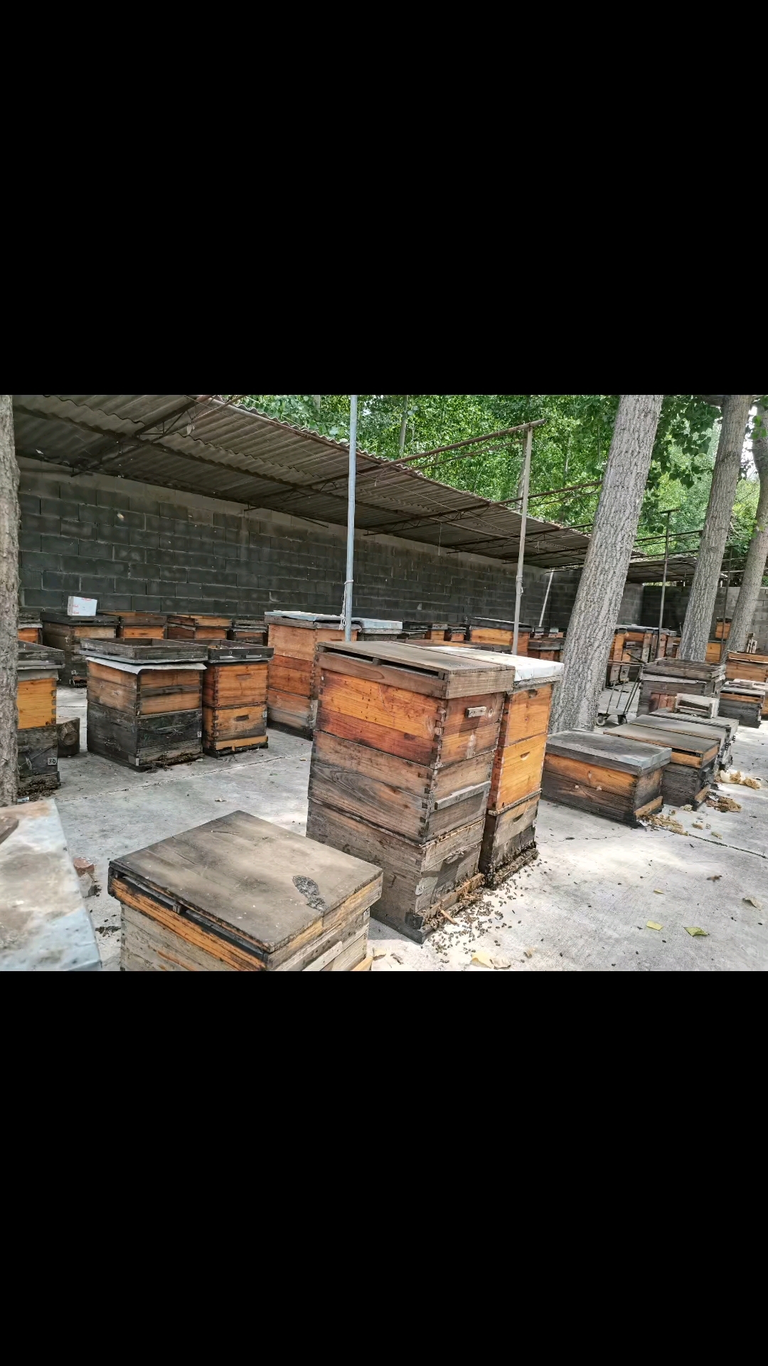 蜂场——马蹄泉——中华鲟养殖——潘家峪红色爱国教育,收获满满