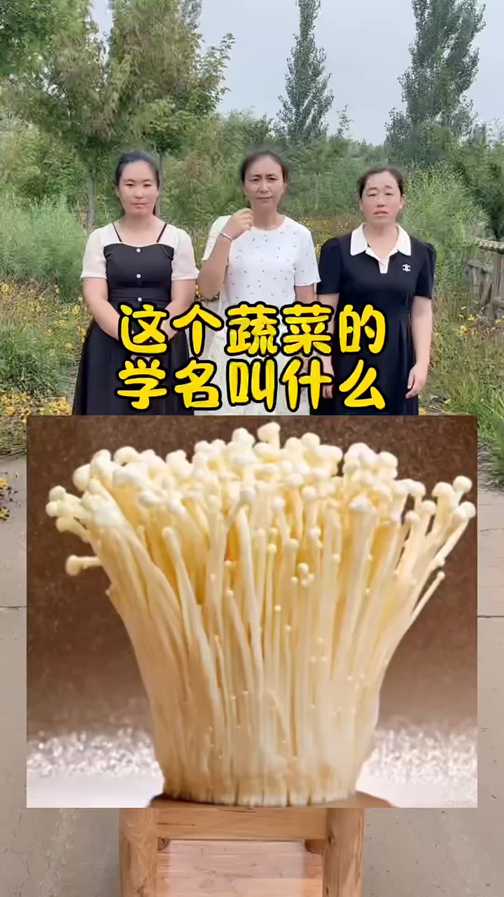 这个蔬菜的学名叫什么