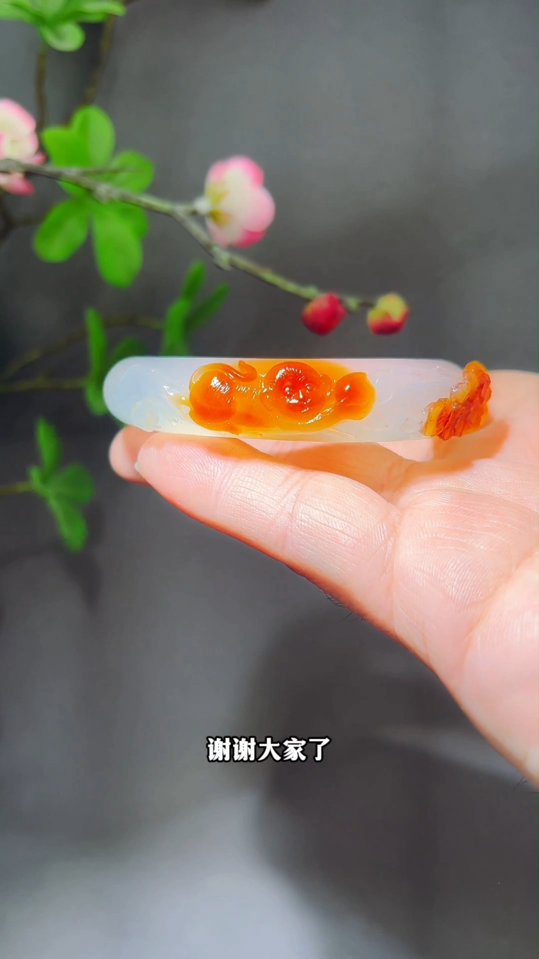 这样的小猴子也太好看了吧