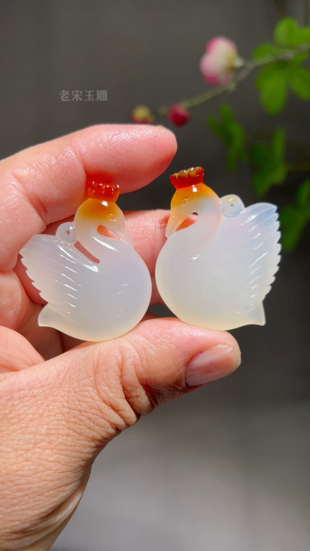 天鹅公主,也太好看了