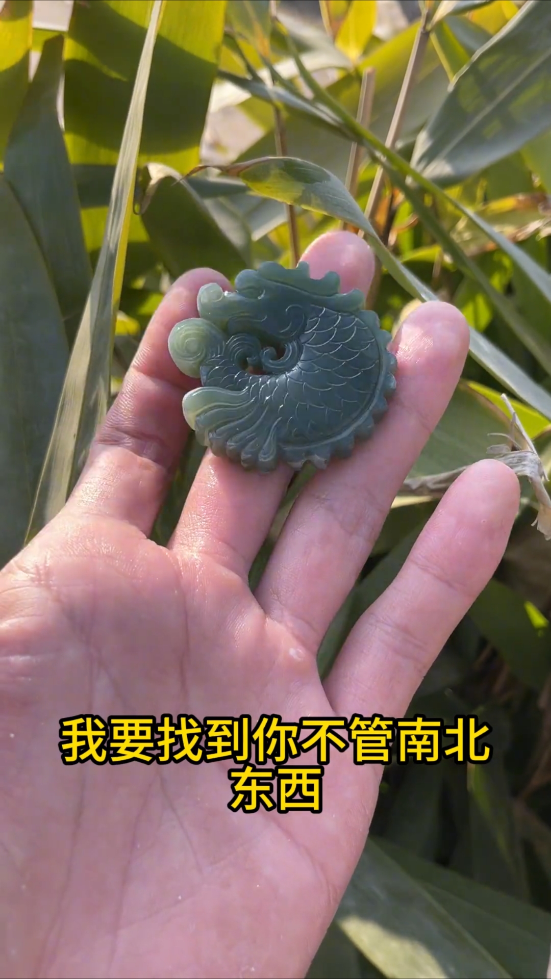 鱼化龙也太好看了