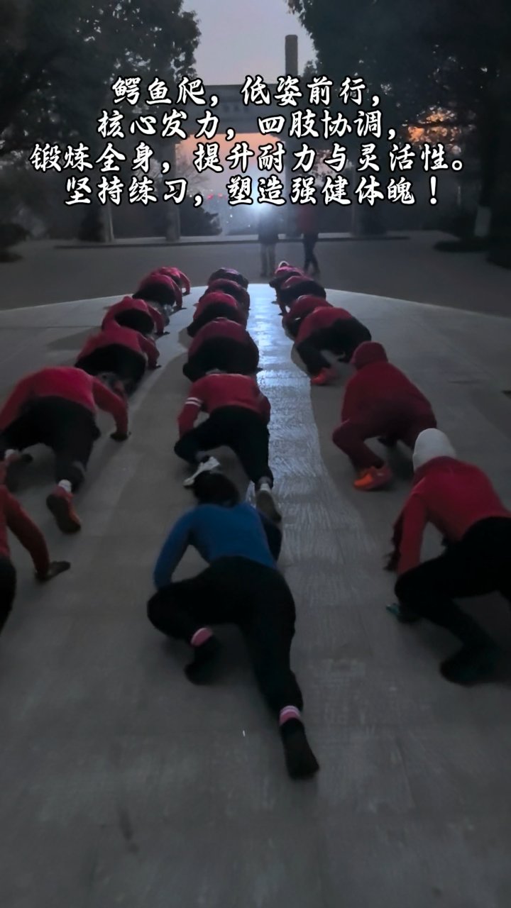 标准鳄鱼爬动作要领