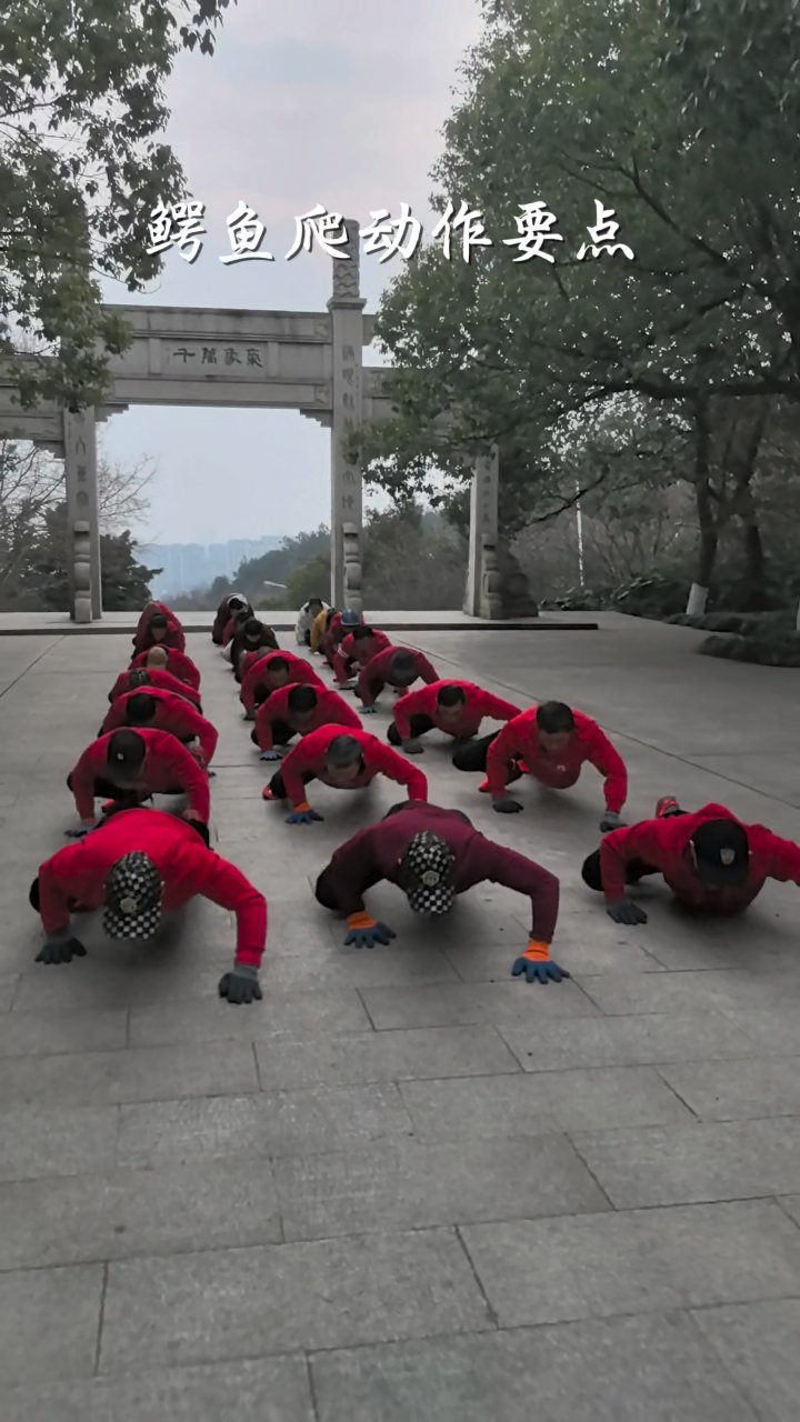 鳄鱼爬动作要点