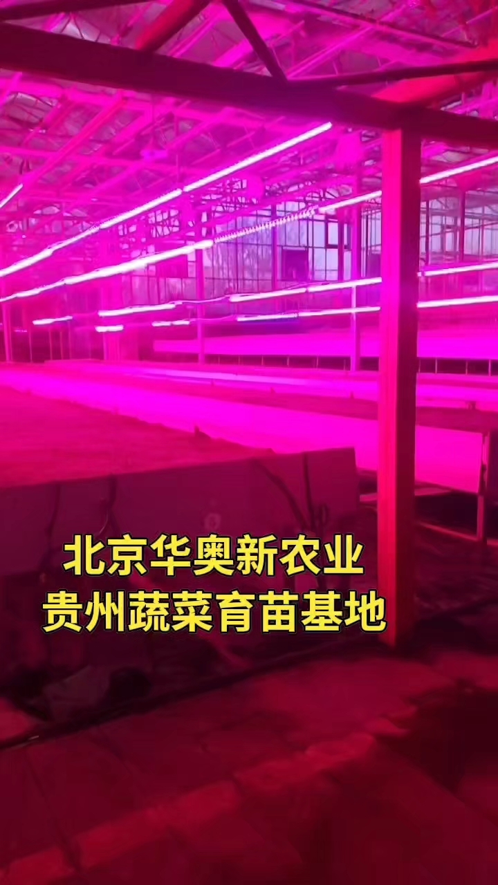 北京华奥新农业～贵州蔬菜育苗基地,科技点亮农业 高效智能温室