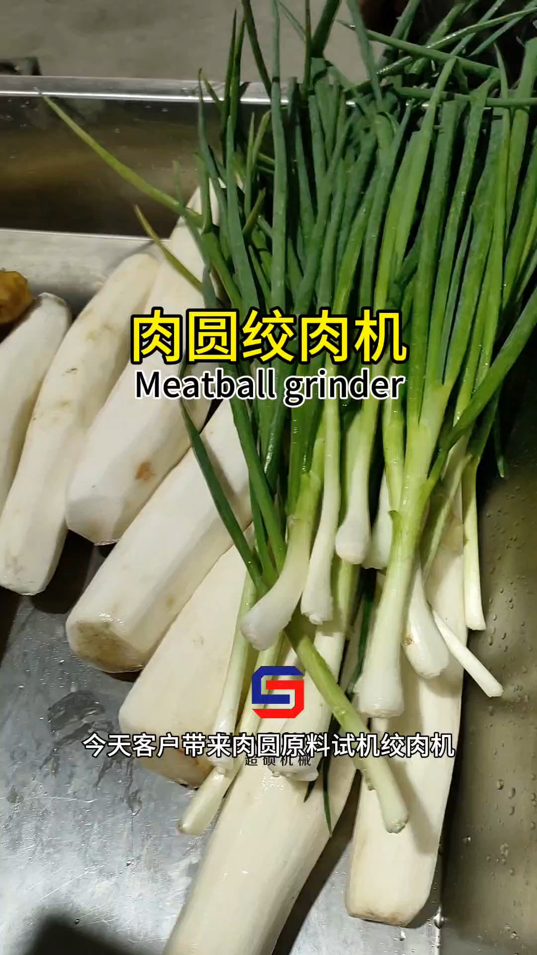多功能绞肉机丸子绞肉机山药绞泥机鸡肉绞肉机鲜肉绞肉机