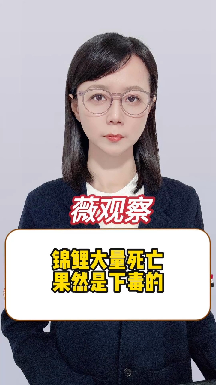 重庆嘉陵公园鱼池遭投毒,原因竟是嫉妒心作祟!