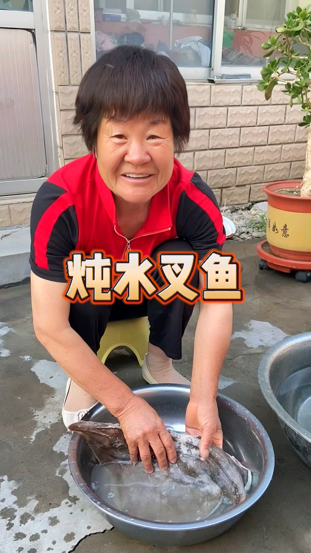 茼蒿水叉鱼,木耳菜鸡蛋汤,个个汤鲜味美