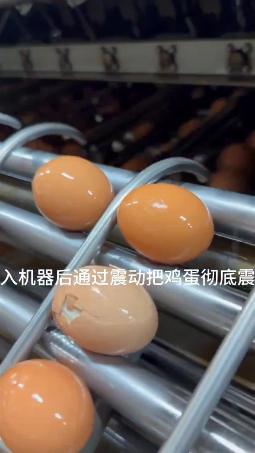 鸡蛋剥壳机视频展示 卤蛋加工定心蒸煮剥壳机 鸡蛋扒皮机