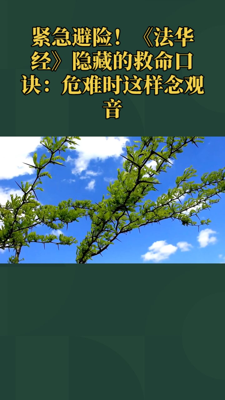 紧急避险!《法华经》隐藏的救命口诀:危难时这样念观音