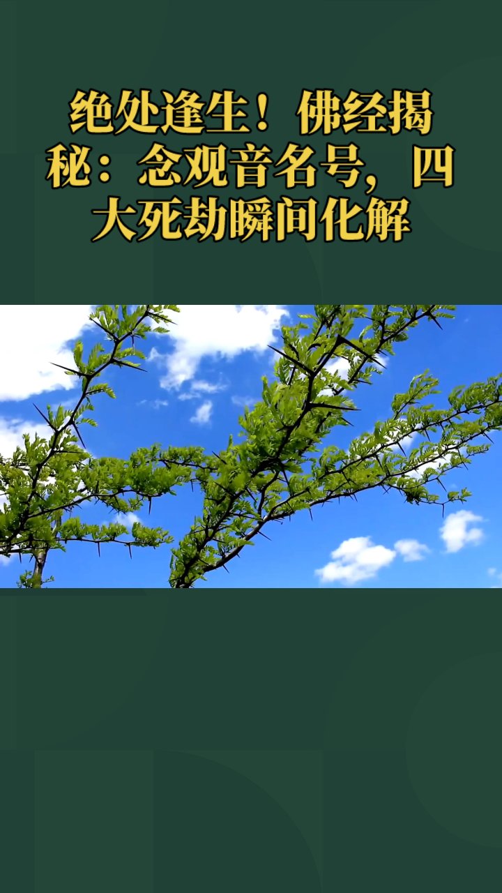绝处逢生!佛经揭秘:念观音名号,四大死劫瞬间化解