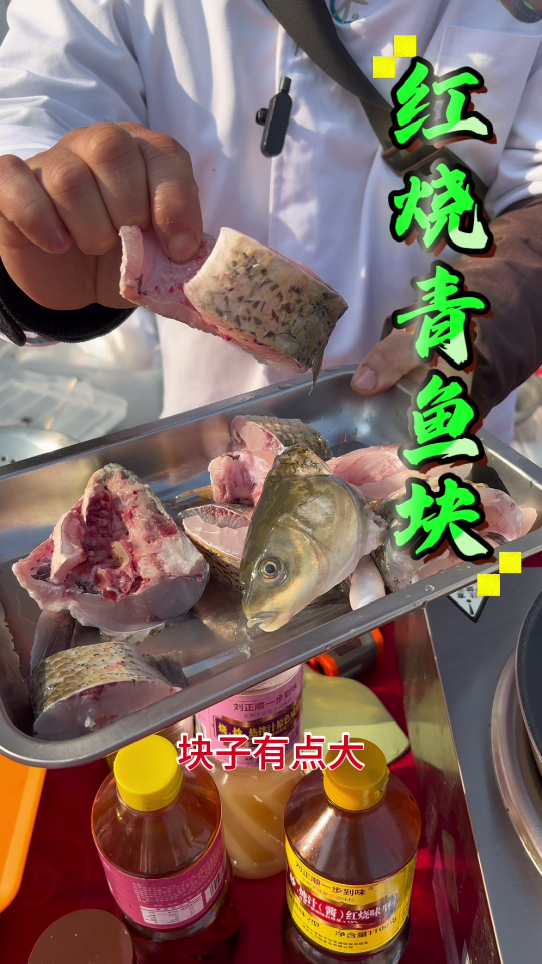 红烧青鱼块