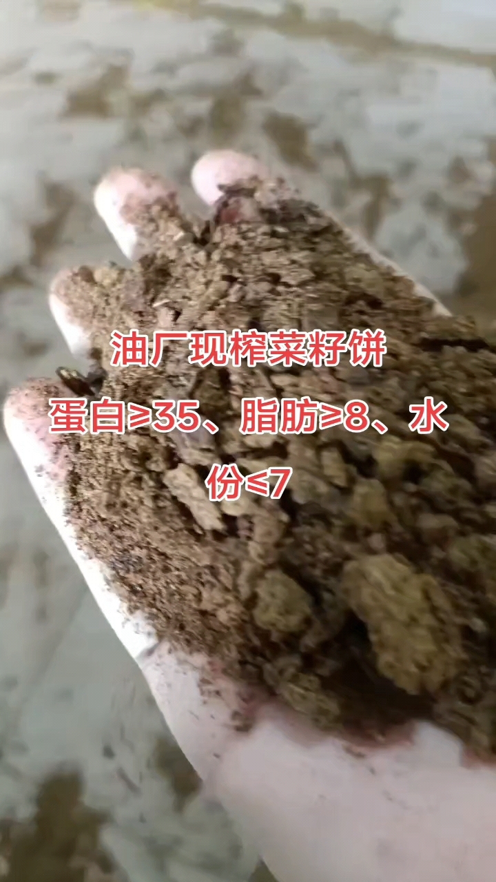 养殖专用:菜籽饼
