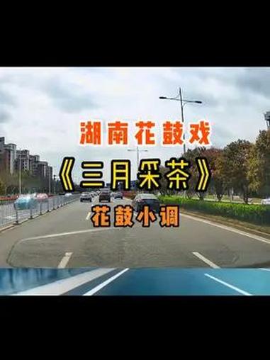 湖南经典花鼓小调《三月采茶》花鼓戏调子几 湖南花鼓戏 传统文化 花鼓戏 花鼓戏调子大全