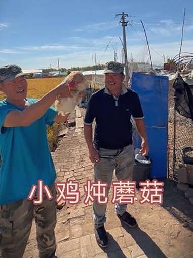 小鸡炖蘑菇 香迷糊了,就是鸡有点难抓,哈哈 新农人 小鸡炖蘑菇 记录真实生活 记录东北农村