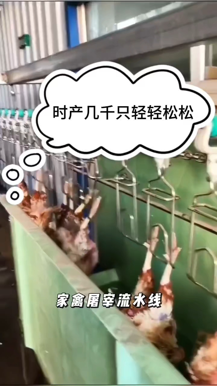 家禽屠宰鸡鸭鹅