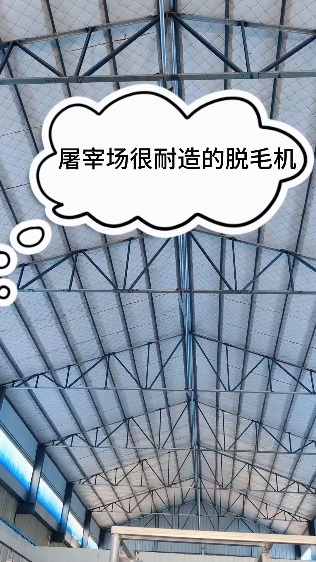 一台机器鸡鸭鹅通吃