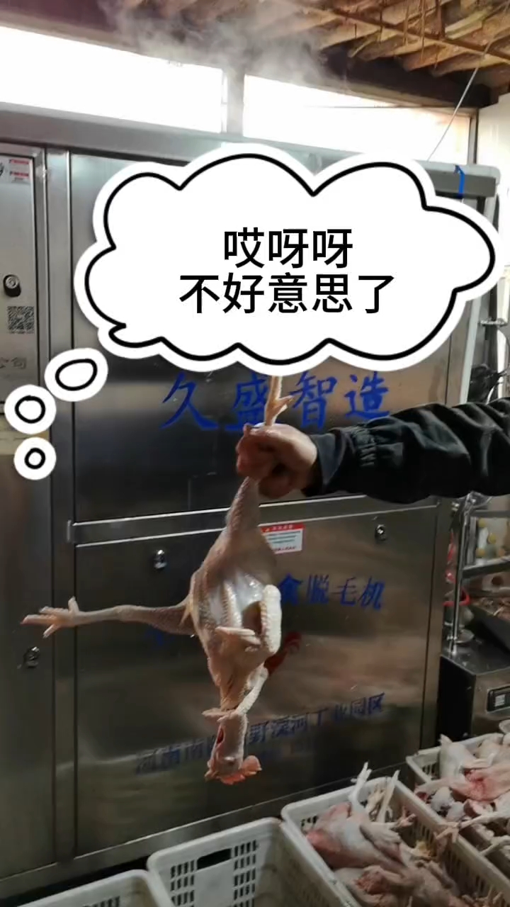 分享视频
