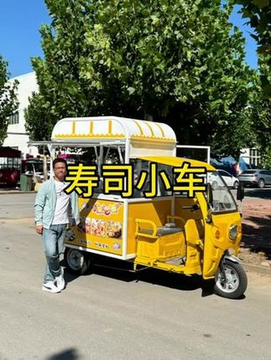 小车也有小车的好,做寿司、章鱼小丸子小车也够用。还便宜、好开!三轮餐车 电动小吃车 电动餐
