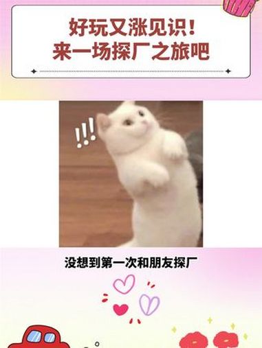 0距离感受科技智造的魅力!汤臣倍健透明工厂 珠海旅游