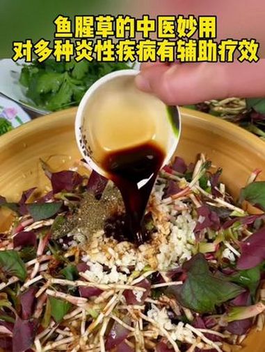 你喜欢吃“折耳根”吗?鱼腥草也叫“折耳根”。专家:对多种炎性疾病有一定辅助疗效