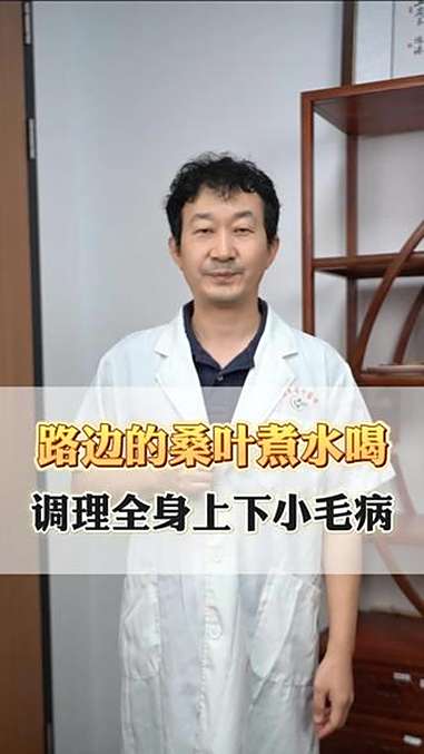 路边的桑叶煮水喝,调理全身上下小毛病 桑叶 中医养生 抖出健康知识宝藏