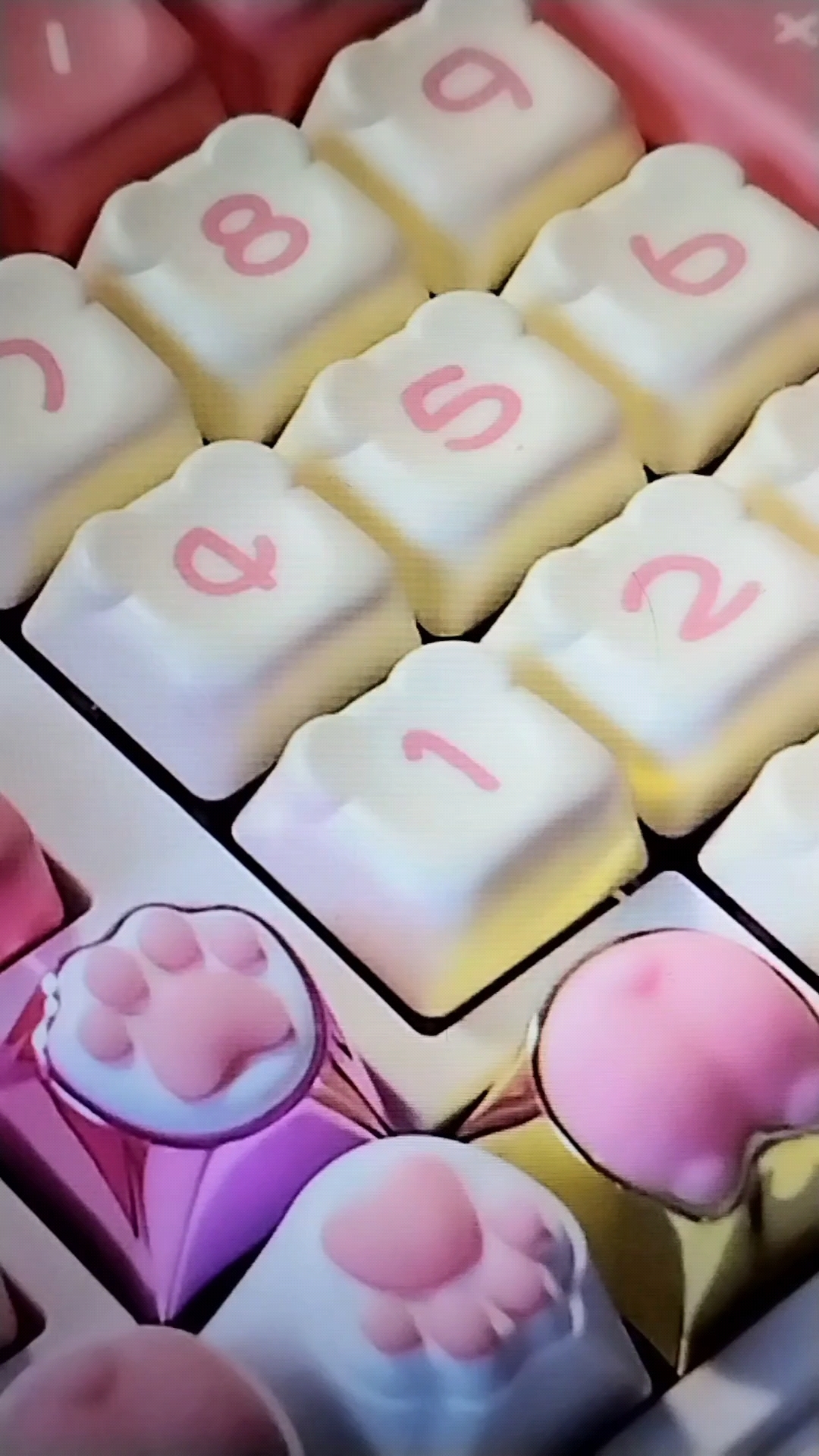 码字音,半张不到的奶油小熊